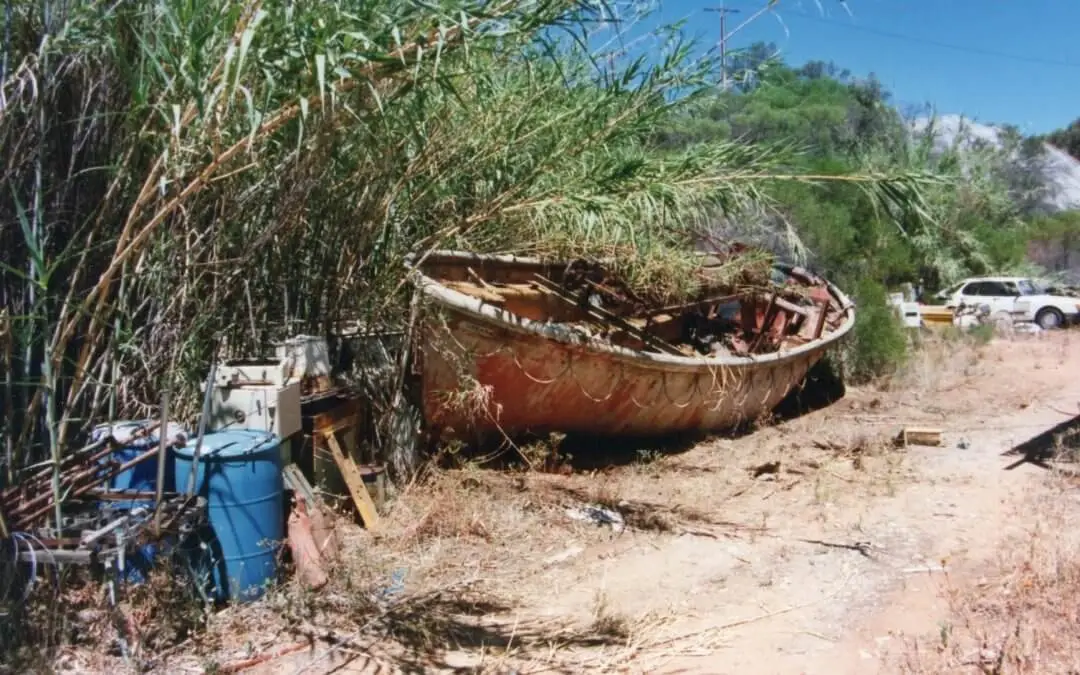 10 Years on the Murray: The Story Behind Rivergum Cruises